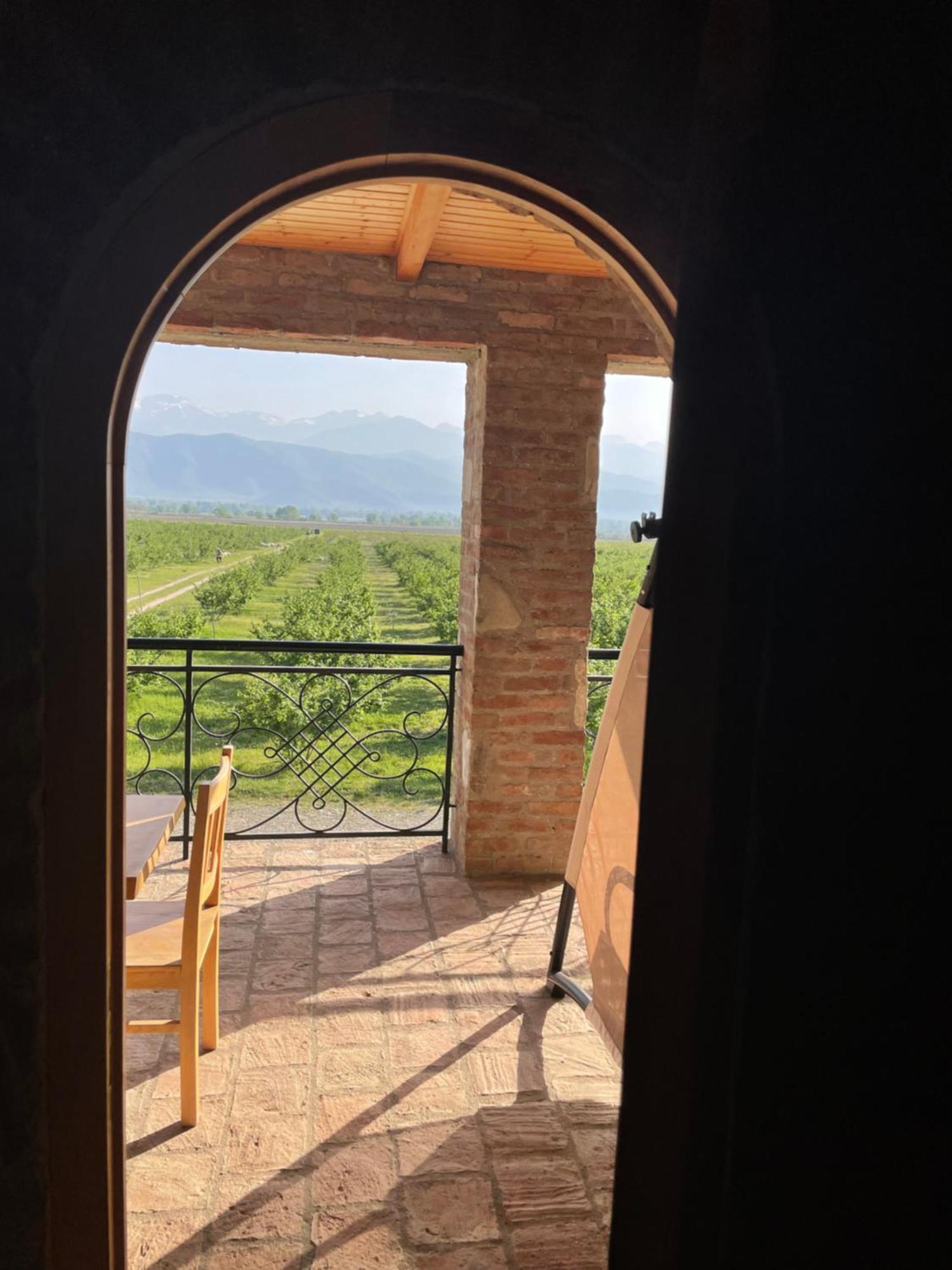 Mestvireni Telavi Exterior foto