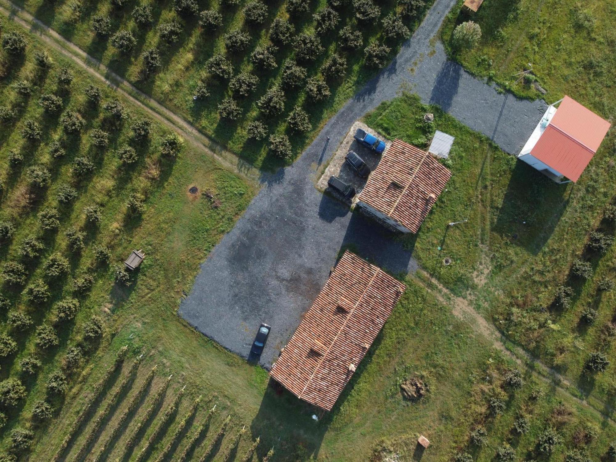 Mestvireni Telavi Exterior foto