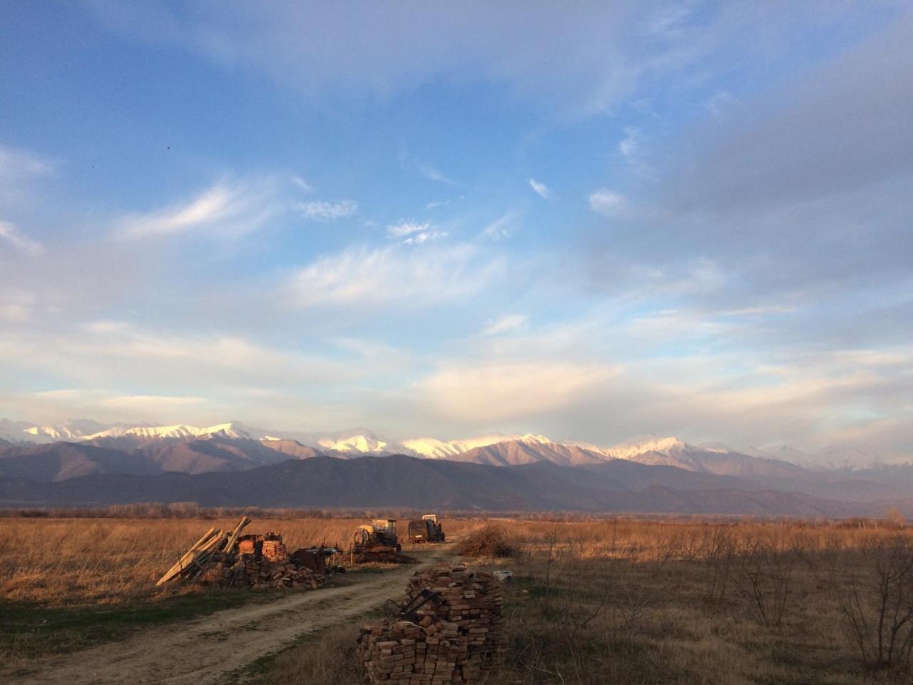 Mestvireni Telavi Exterior foto